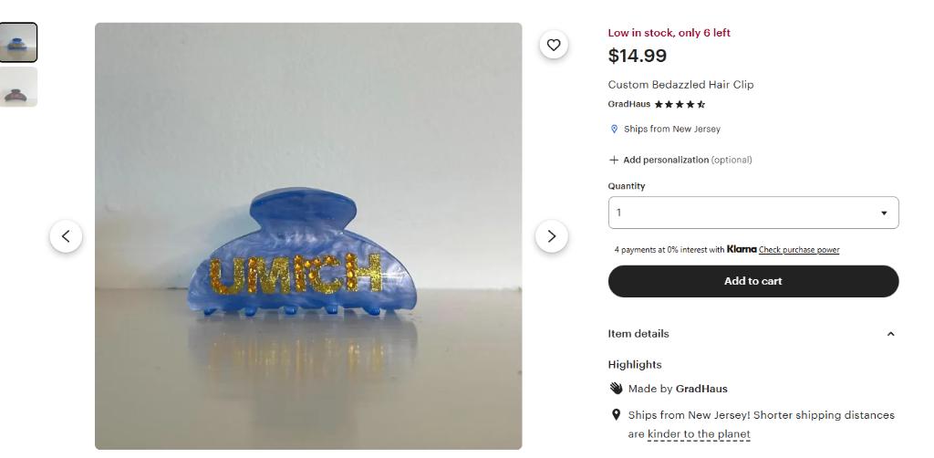 Bedazzled Hair Clips